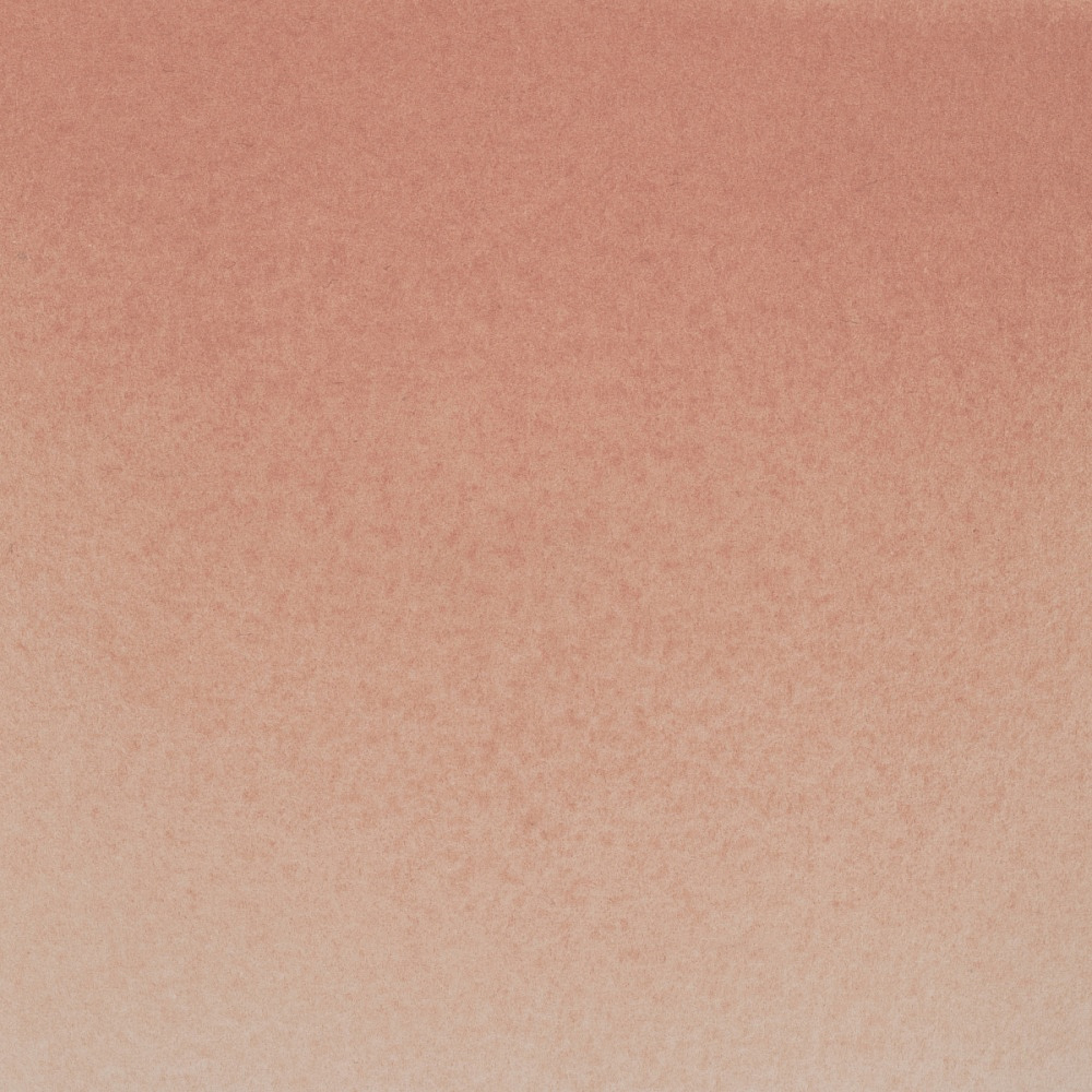 Краски акварельные "Белые ночи", 433 мокко, 10мл., туба - 3