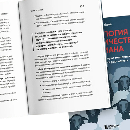 Книга "Психология мошенничества и обмана. Как думают и действуют мошенники и как мы можем их распознать", Иван Рябцев - 5