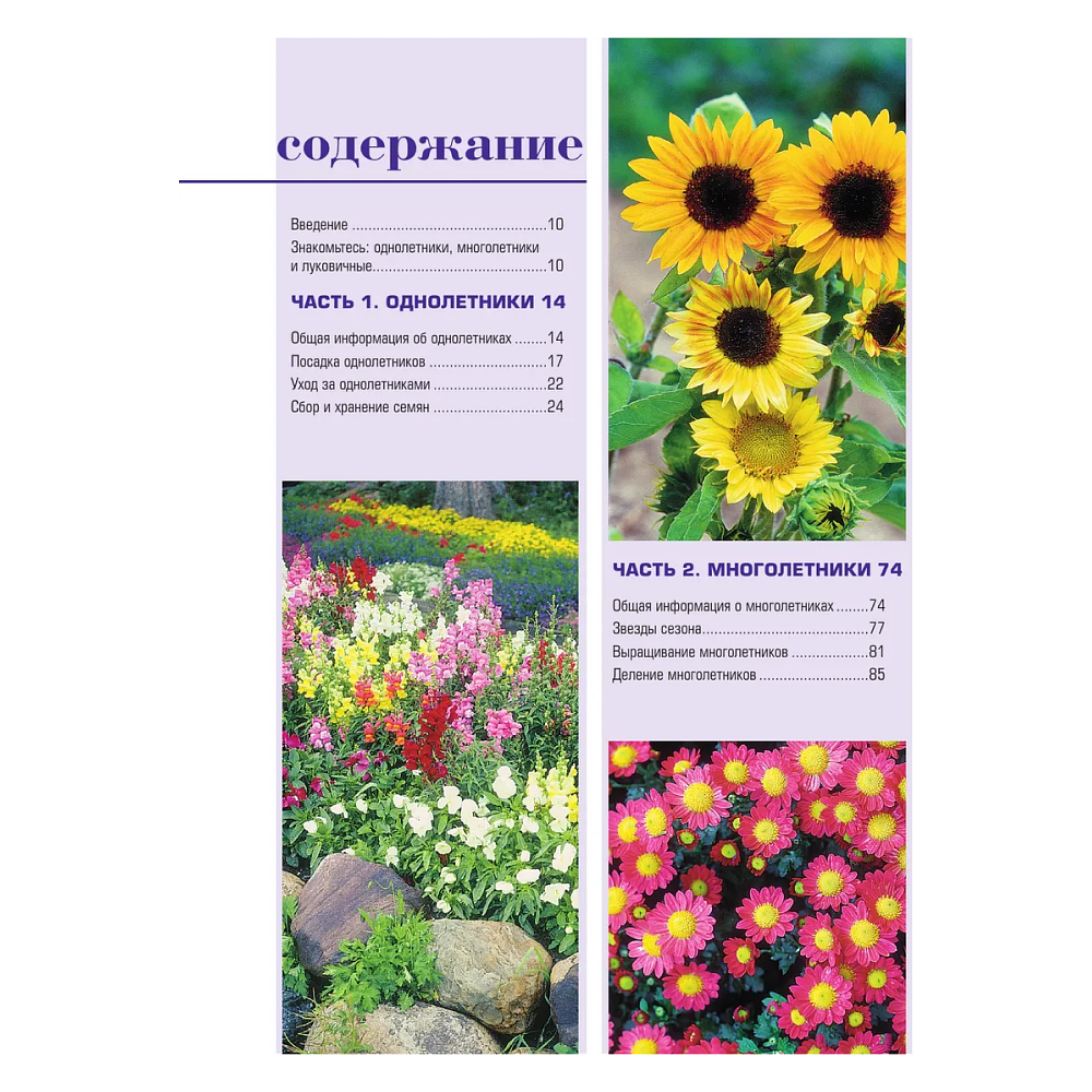 Книга "Библия садовых цветов. Однолетники, многолетники и луковичные. Советы по посадке, выращиванию и уходу" - 6