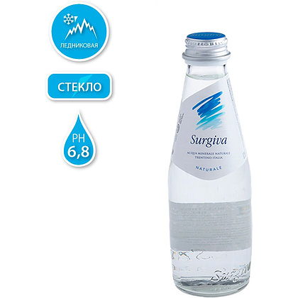 Вода минеральная природная питьевая «Surgiva», 0.25 л., негазированная, 24 бут/упак - 2