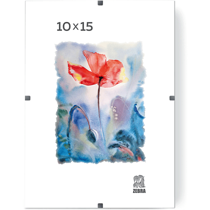 Фоторамка "ПКлип002130 Zebra", 30х40 см, клип, со стеклом, прозрачный