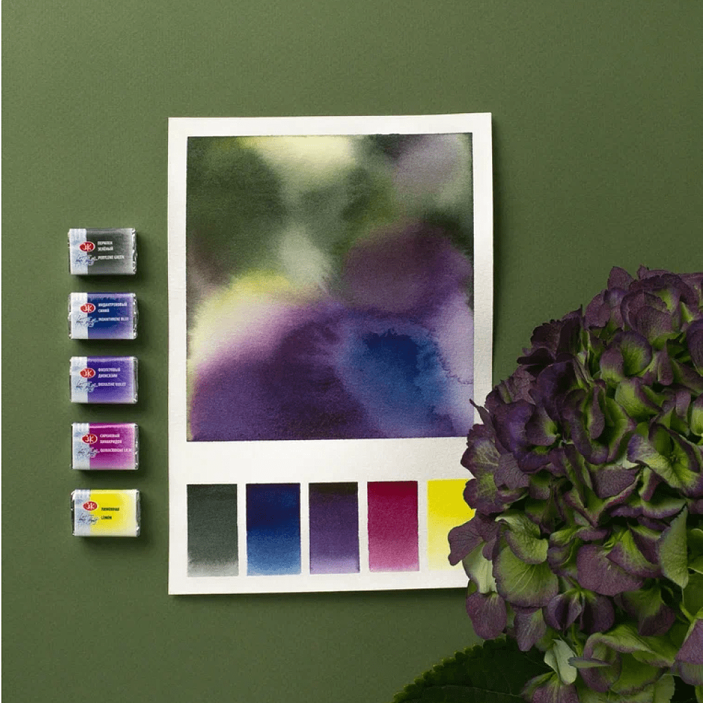 Краски акварельные "Белые ночи Ботанический атлас", набор 12 цветов, кюветы - 13