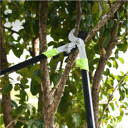 Сучкорез садовый "Deli", 775 мм - 4