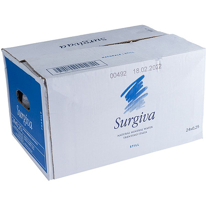 Вода минеральная природная питьевая «Surgiva», 0.25 л., негазированная, 24 бут/упак - 3