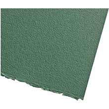 Бумага для смешанных техник "Fabriano. Cromia", 50х65 см, 220 г, зеленый