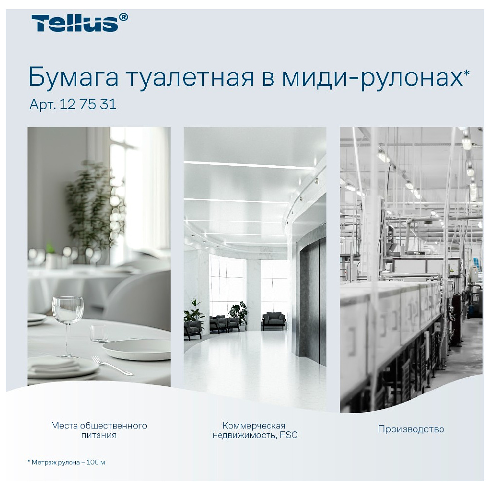 Бумага туалетная Tellus Комфорт TP6, в миди-рулонах, 100 м, 2 слоя - 11