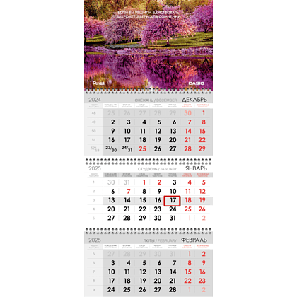 Календарь настенный "Pentel-Casio" на 2025 год, А4