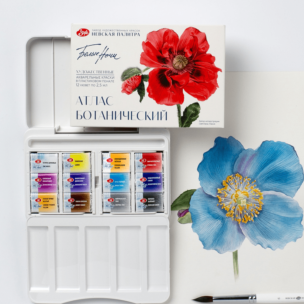 Краски акварельные "Белые ночи Ботанический атлас", набор 12 цветов, кюветы - 6