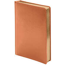 Ежедневник недатированный Happy Book "Joy"