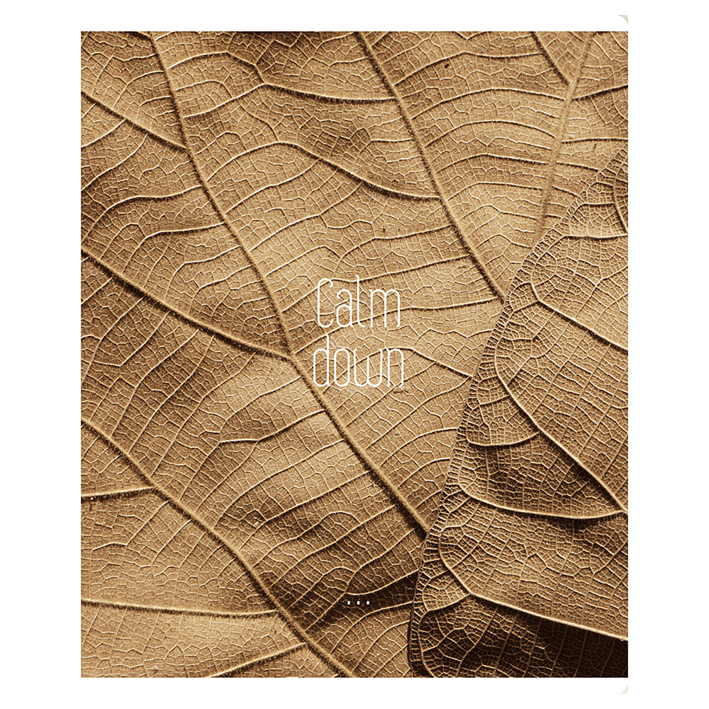 Тетрадь "Calm down", А5, 96 листов, клетка, скоба сбоку, ассорти - 3