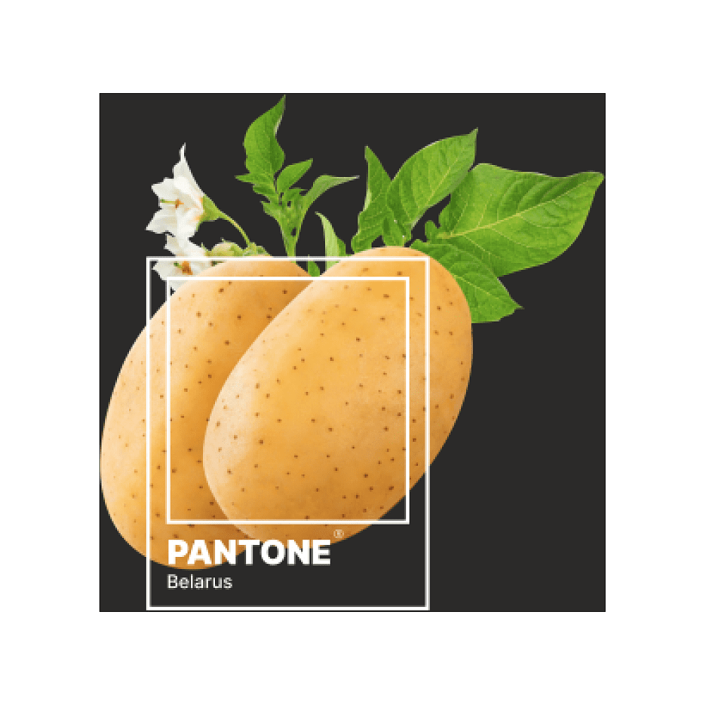 Блокнот "Pantone.Belarus", А5, 80 листов, нелинованный, черный - 3