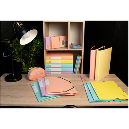 Папка на резинках "Aquarel", А4, 60 мм, картон, ассорти - 12