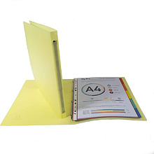 Папка на кольцах "Chromaline Pastel", 4 кольца, 20 мм, ассорти