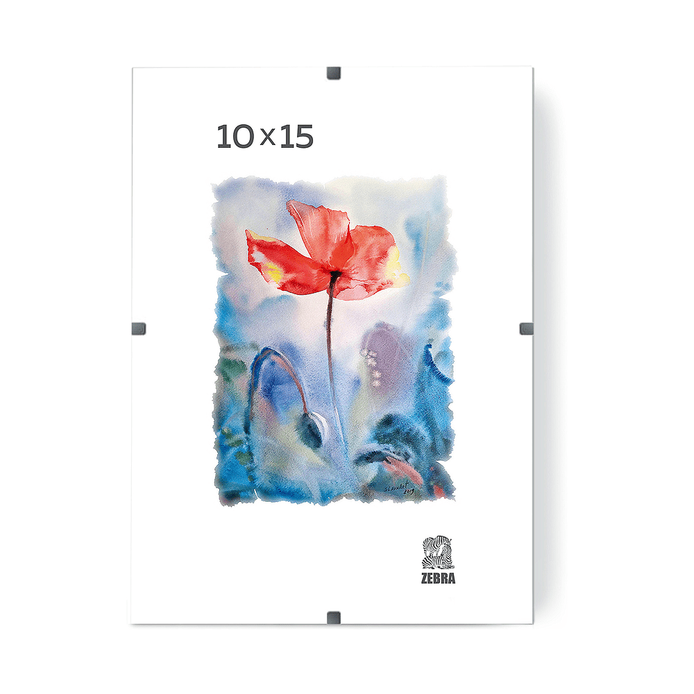 Фоторамка "ПКлип002130 Zebra", 30х40 см, клип, со стеклом, прозрачный