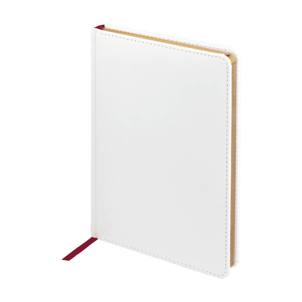 Ежедневник недатированный "Sidney Nebraska", А5, 272 страницы, белый - 2