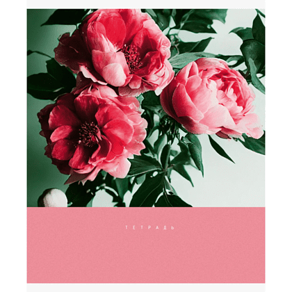 Тетрадь "Цветочный сад", А5, 48 листов, клетка, скоба сбоку, ассорти - 3