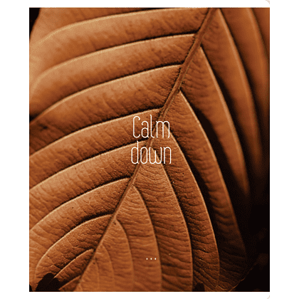 Тетрадь "Calm down", А5, 96 листов, клетка, скоба сбоку, ассорти - 4