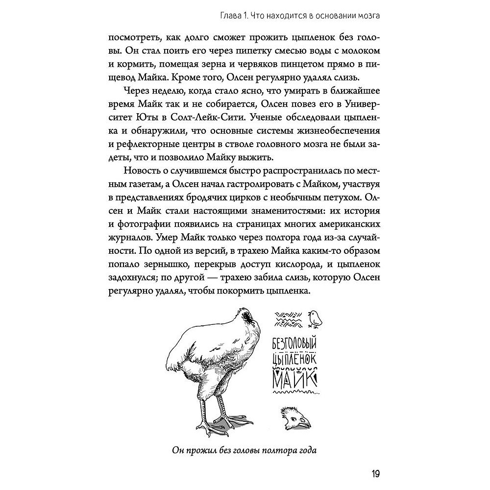 Книга "Автостопом по мозгу. Когда вся вселенная у тебя в голове", Белова Е. - 10