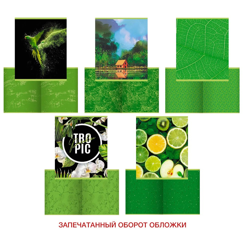 Тетрадь "Green mix", А5, 48 листов, клетка  - 3