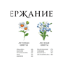 Книга "Цветы в искусстве. Воспевание красоты" - 4