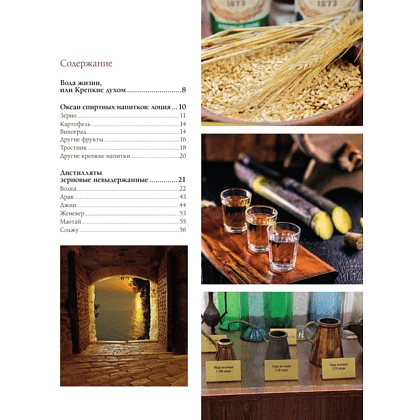 Книга "Алкоголь с мужским характером. Полный путеводитель по миру крепких напитков", Ефим Кундель - 4