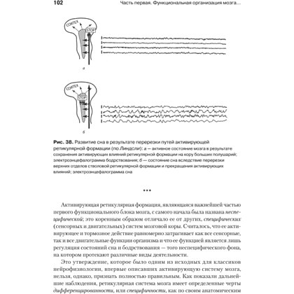 Книга "Основы нейропсихологии", Александр Лурия - 14