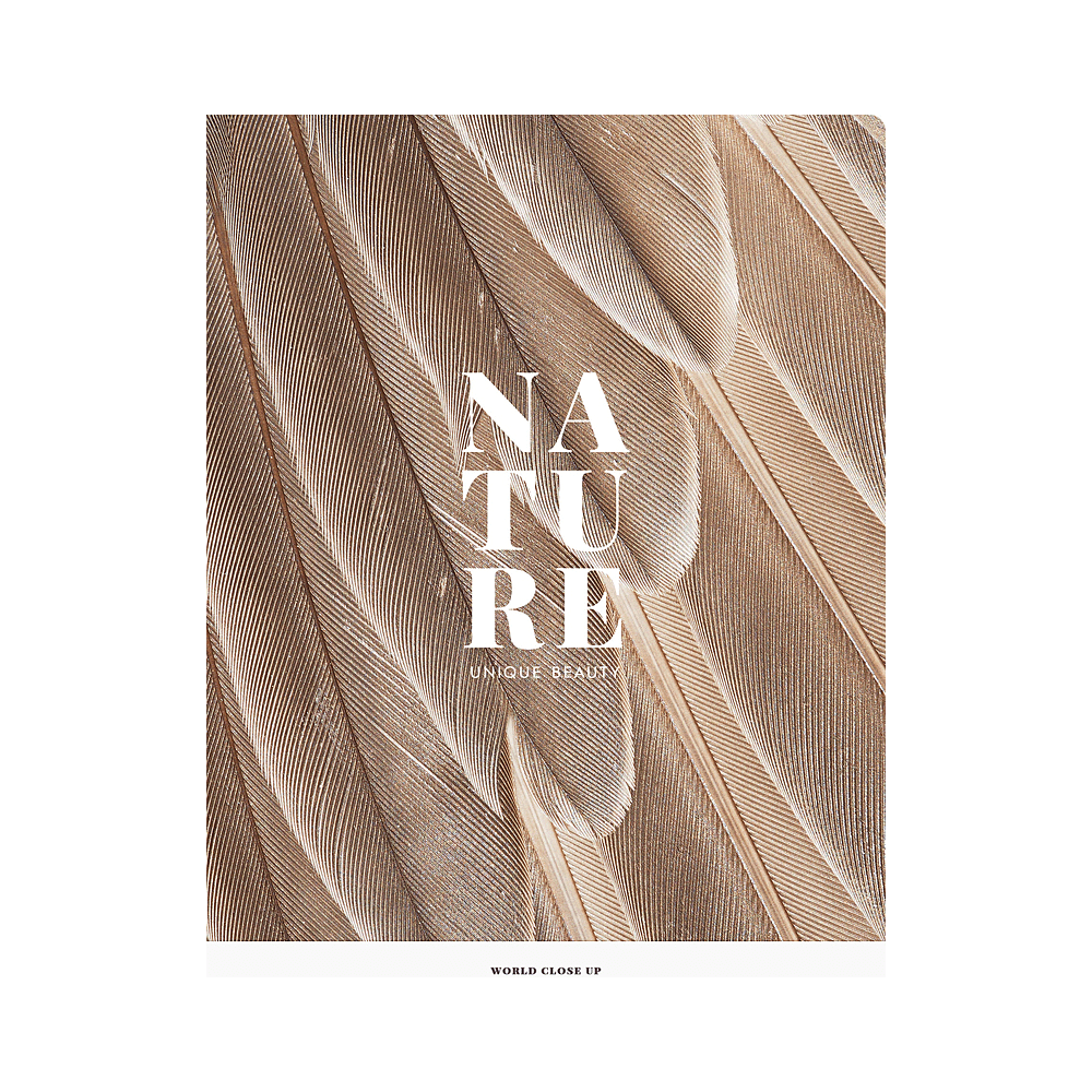 Тетрадь "Nature", А4, 48 листов, клетка, ассорти - 3