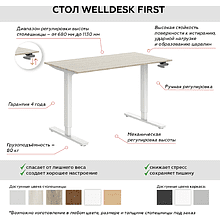 Комплект WellDesk First (регулируемый по высоте каркас арт. 9032533 и столешница арт. 9031918)