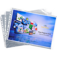 Папка-карман "Exacompta", А3, 10 шт, 100 мк, прозрачный