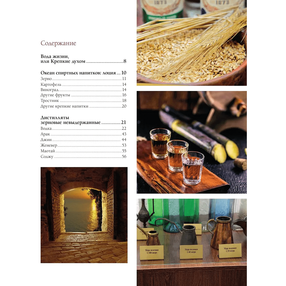 Книга "Алкоголь с мужским характером. Полный путеводитель по миру крепких напитков", Ефим Кундель - 4