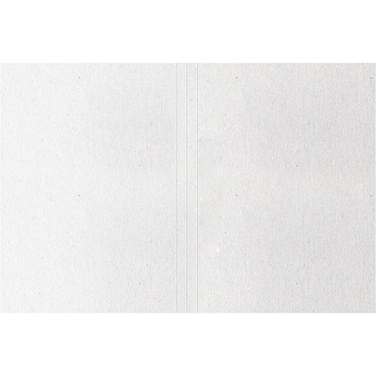 Обложка "Дело", КТ 0.44, белый - 4