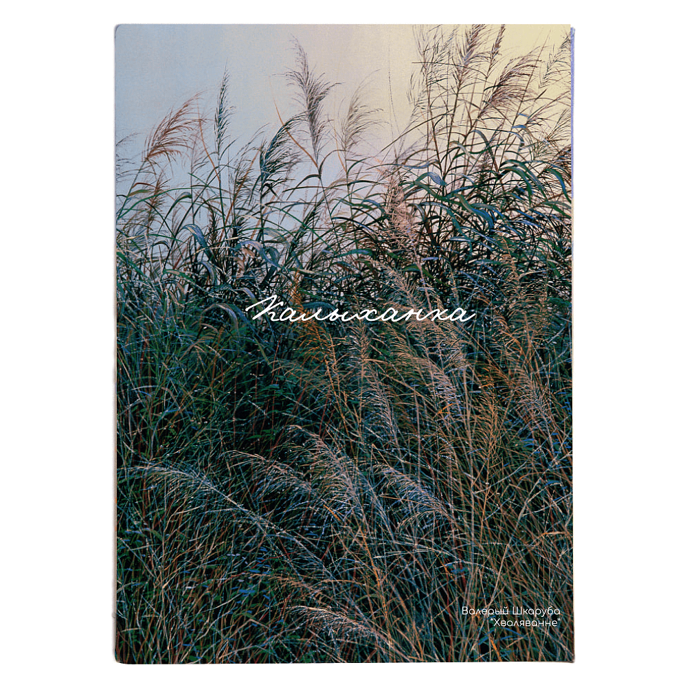 Обложка для паспорта "Волнение", Валерий Шкарубо, натуральная кожа, разноцветный