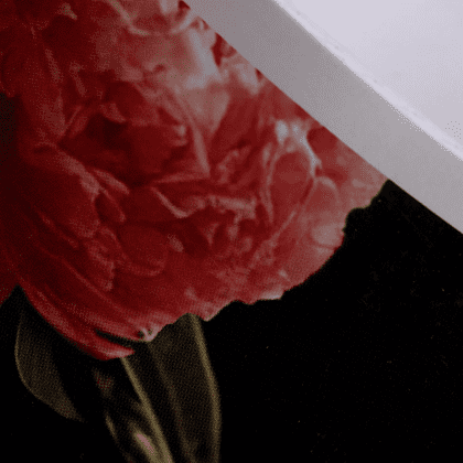 Тетрадь "Цветочный сад", А5, 48 листов, клетка, скоба сбоку, ассорти - 5