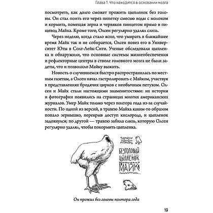 Книга "Автостопом по мозгу. Когда вся вселенная у тебя в голове", Белова Е. - 10