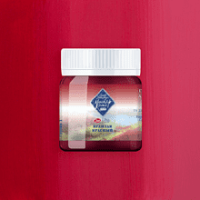 Краски гуашевые "Мастер-класс", 339 краплак красный, 40 мл, банка