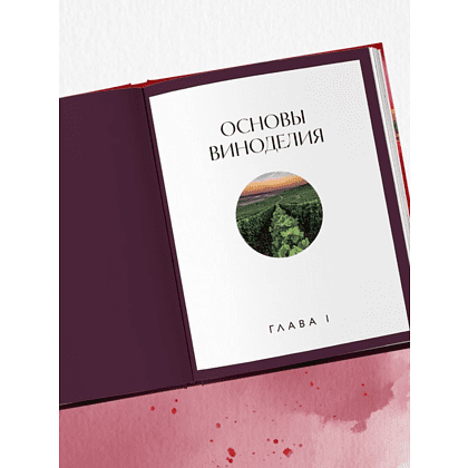 Книга "Вино к еде. Искусство идеального сочетания", Елена Горбачева - 7