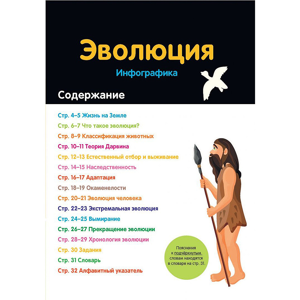 Книга  Брандл Х. "Эволюция: инфографика" / Харриет Брандл -50% - 2