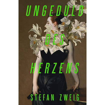 Книга на немецком языке "Ungeduld des Herzens", Стефан Цвейг, -30%