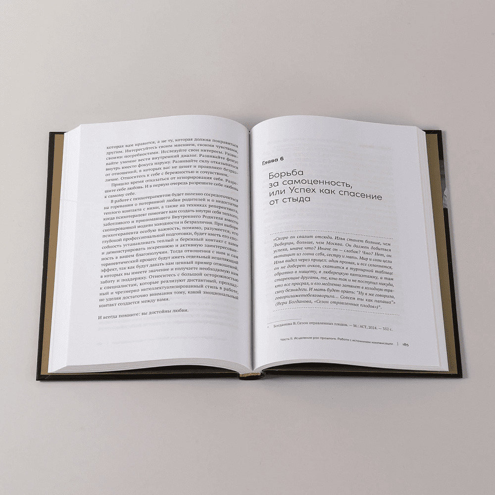 Книга "В плену у достижений: От выгорания к целостности", Степанчук Алина - 8