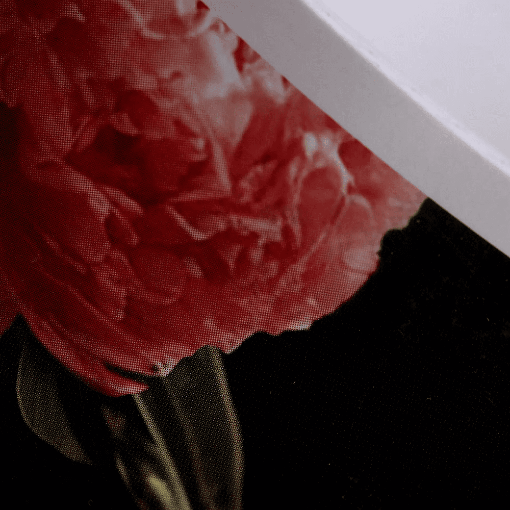 Тетрадь "Цветочный сад", А5, 48 листов, клетка, скоба сбоку, ассорти - 5