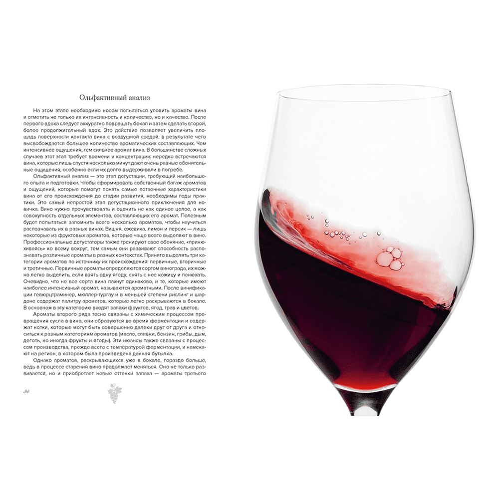 Книга "Маленькая книга гурмана. Вино", Якопо Коссатер, Фабио Петрони - 6