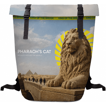 Рюкзак "Pharaoh's cat", ролл-мини, текстиль, разноцветный