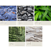 pic