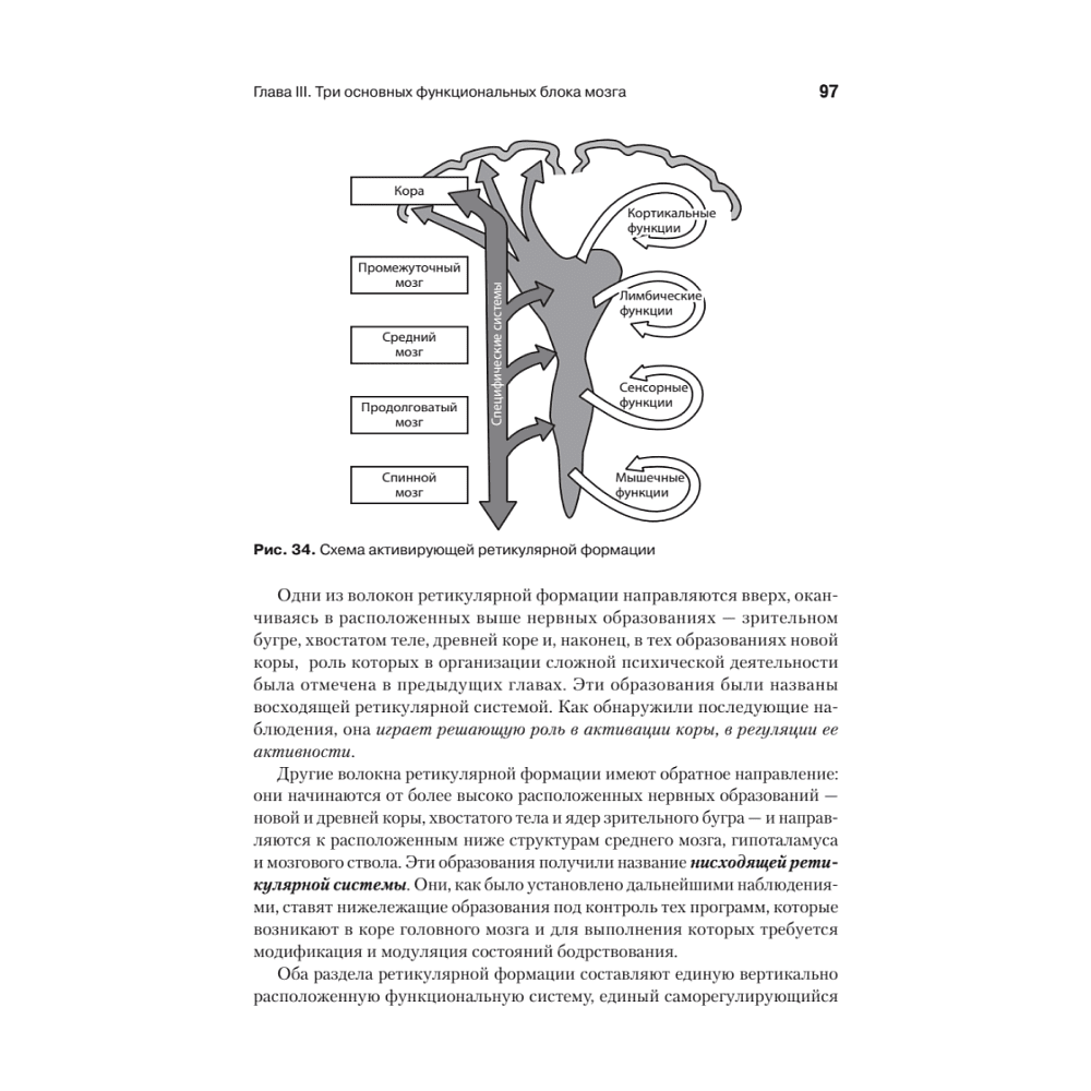 Книга "Основы нейропсихологии", Александр Лурия - 9