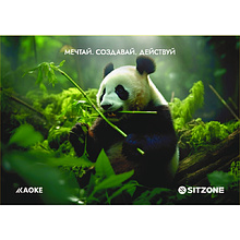 Календарь настенный "Aoke, Sitzone" 2026, А4, на 3-х спиралях