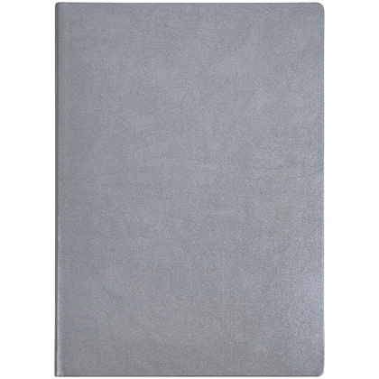 Ежедневник недатированный "Tucson Flex", А5, 272 страницы, серо-серебристый - 2