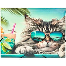 Папка на резинках "Chillout cat", пластик, 15 мм