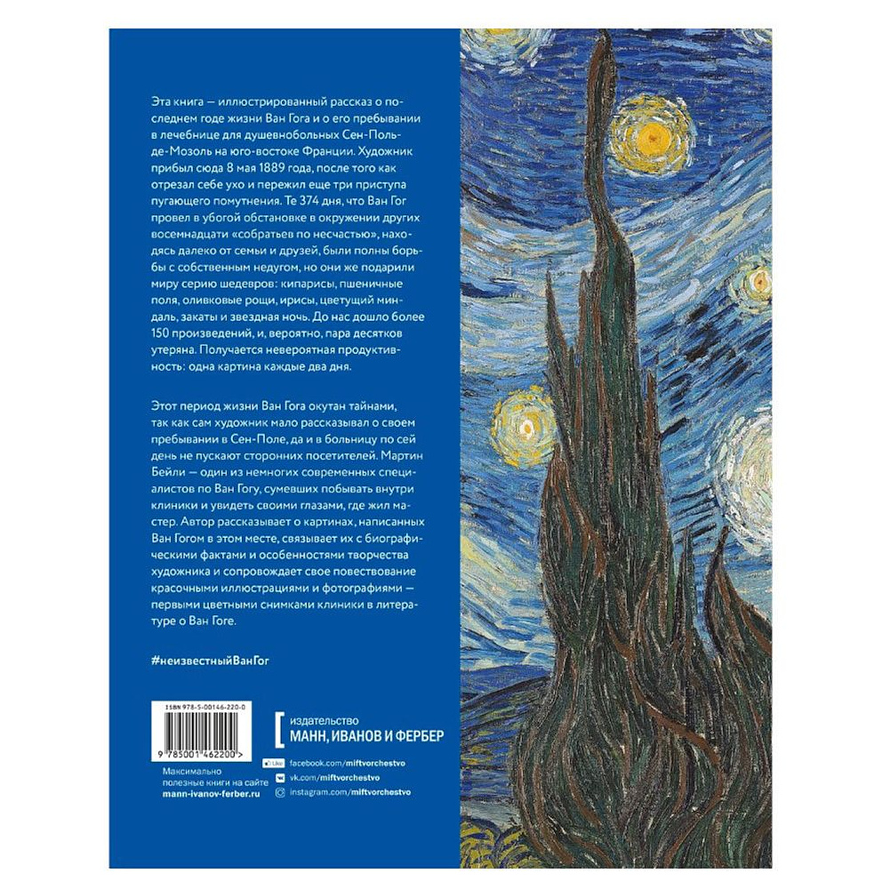 Книга "Неизвестный Ван Гог. Последний год жизни художника", Мартин Бейли - 6