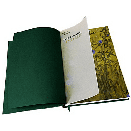 Книга "Несказанный свет" (коллекционное издание), Сергей Есенин - 5