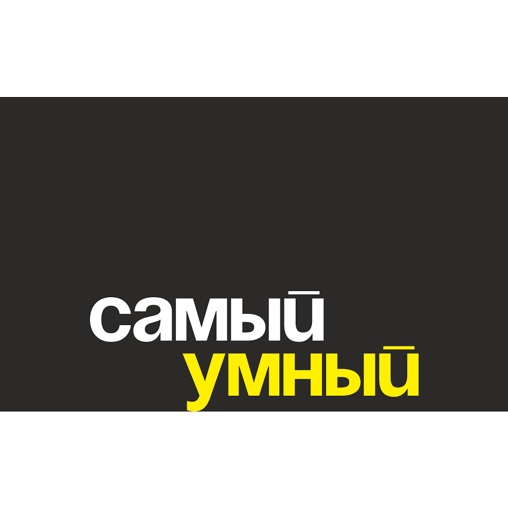 Вакуумная термобутылка "Самый умный", 500 мл, черный - 2